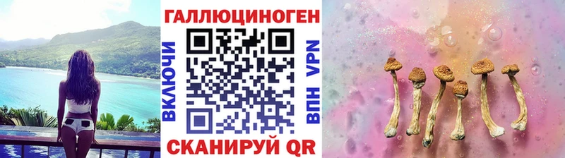 Псилоцибиновые грибы прущие грибы Спас-Клепики